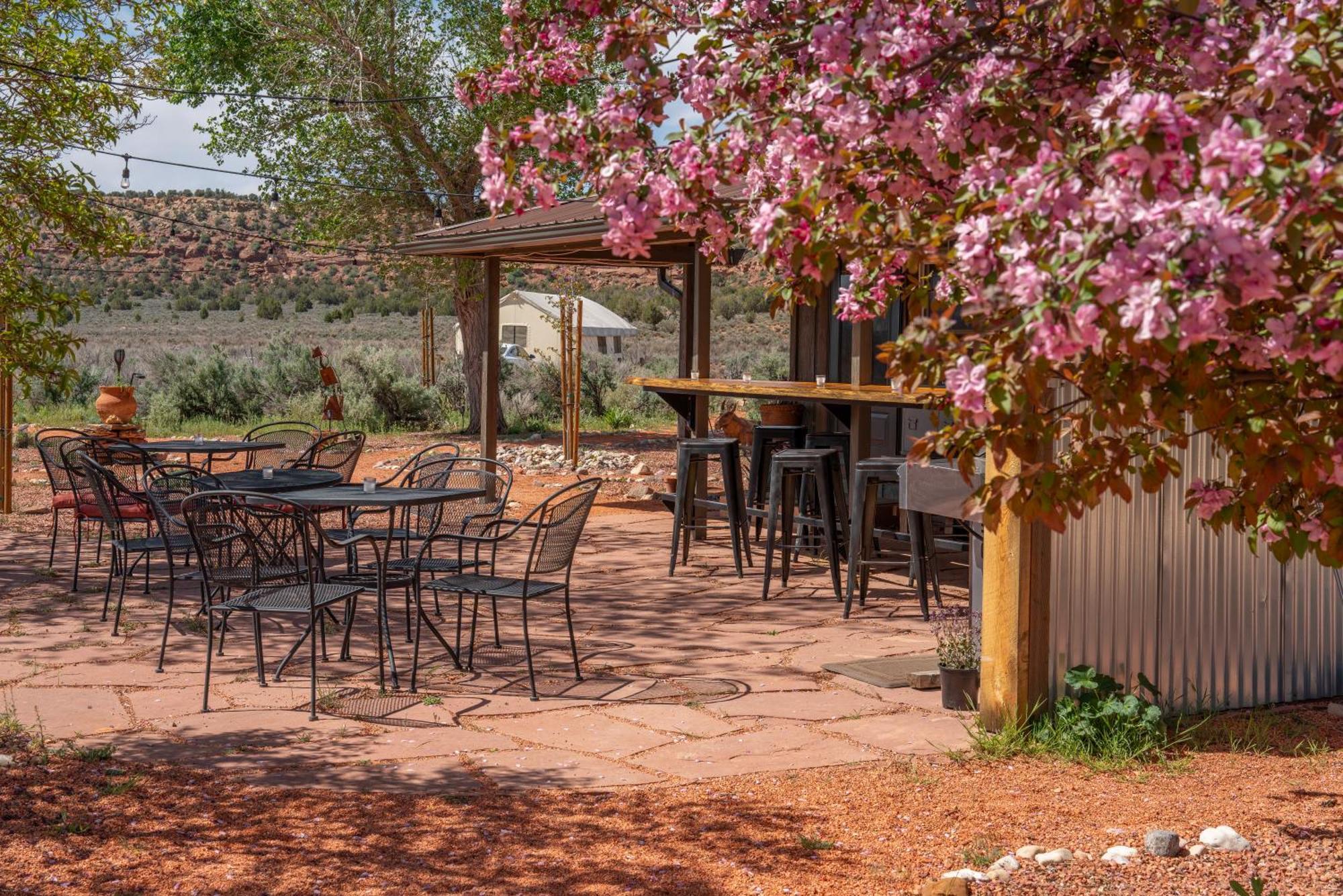 Basecamp 37° Ξενοδοχείο Kanab Εξωτερικό φωτογραφία